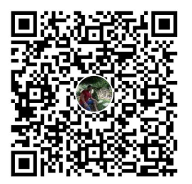 QR MoMo Donate